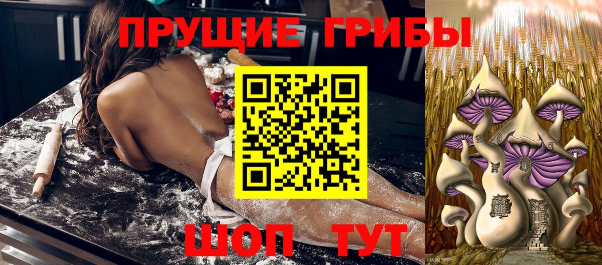 Кызыл  Галлюциногенные грибы прущие грибы  Галлюциногенные грибы Psilocybe  Вход с VPN 