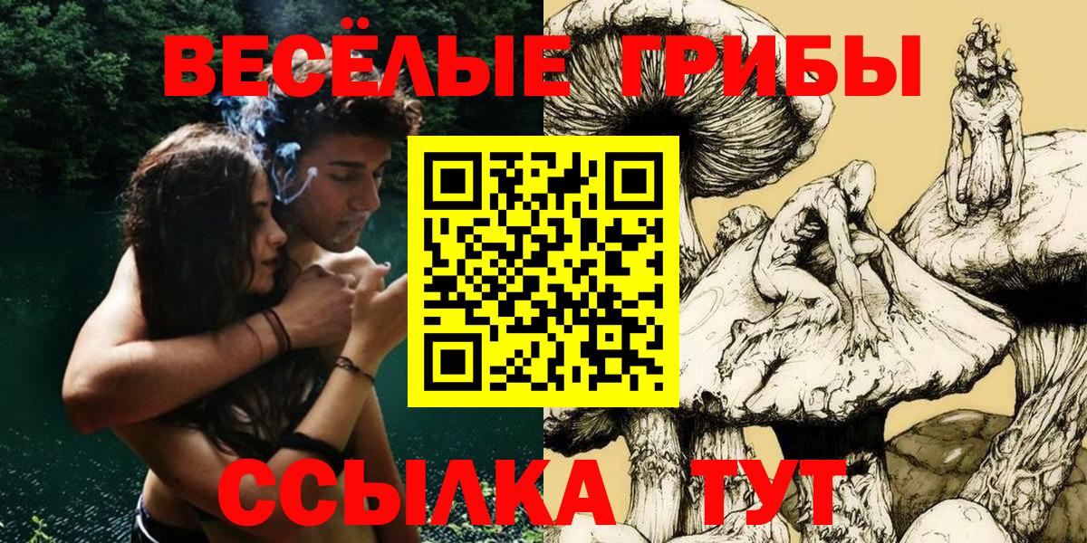 Галлюциногенные грибы Psilocybe Кызыл